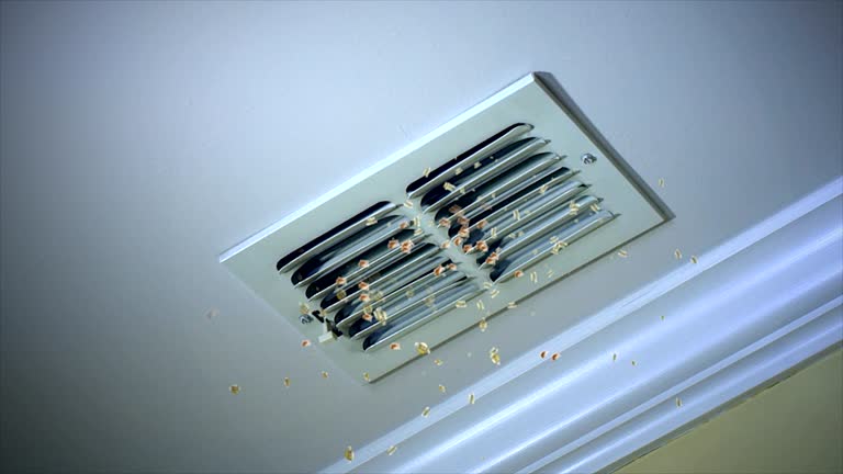 Best HVAC Duct Inspection Services  in La Plata, MO
